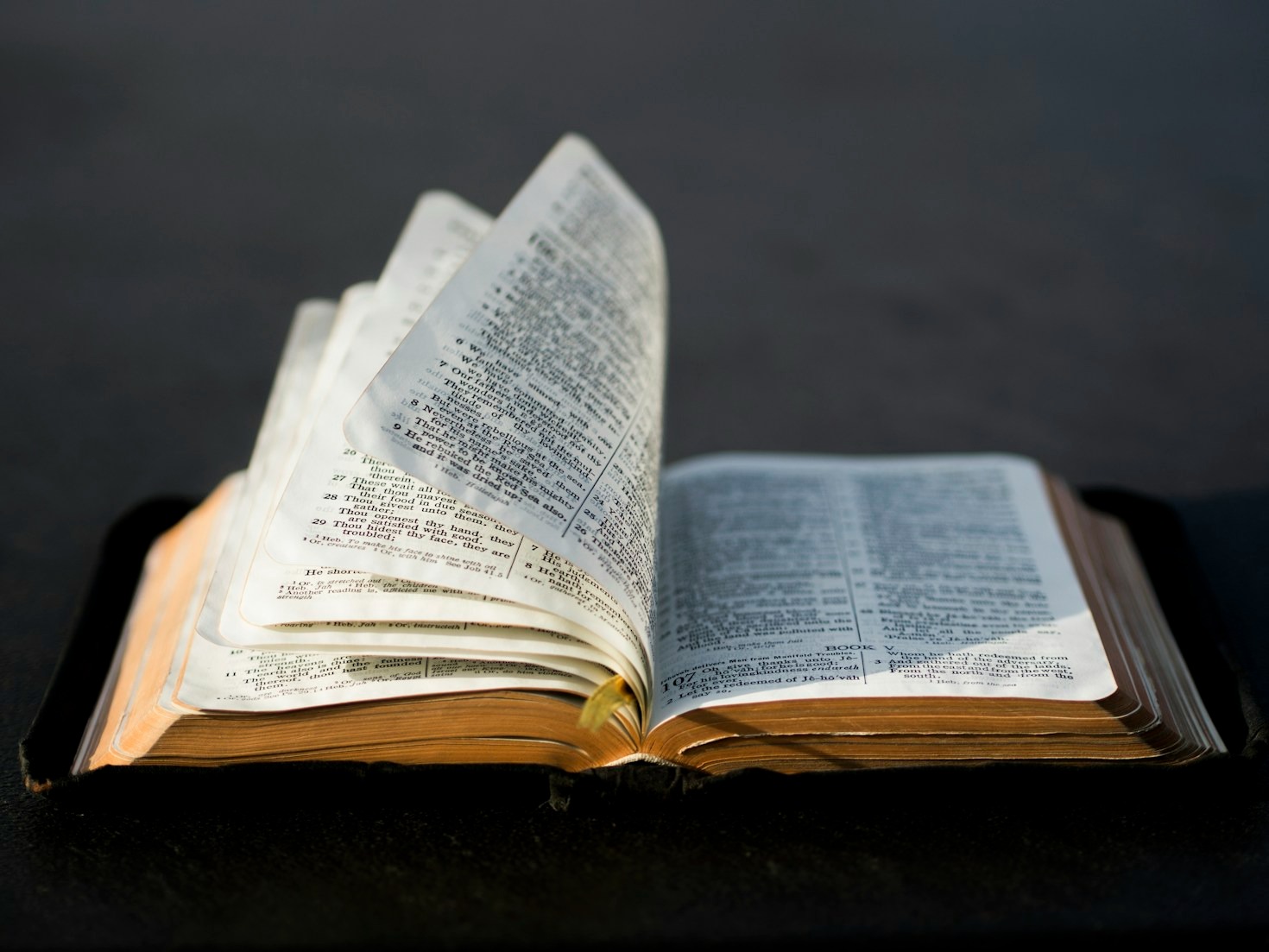 Understanding the Gospel: A Beginner’s Guide